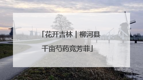花开吉林｜柳河县千亩芍药竞芳菲